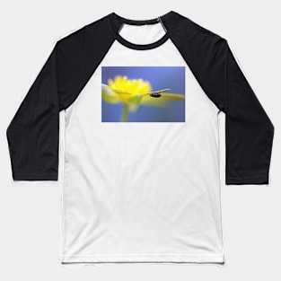 Pollen Hunter Baseball T-Shirt